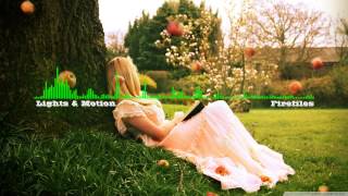 Lights & Motion -  Fireflies