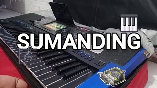 Download lagu SUMANDING - WAHYU GIRI FT ESA RISTY // JANDUT FYP 2026  mp3