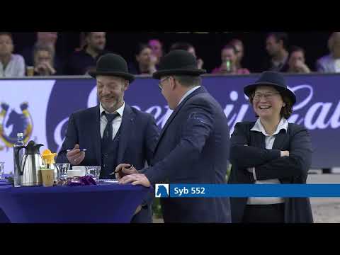 HK 2026 – Event 9 – Studbook Stallions approved from breeding season 2026 – Spanish