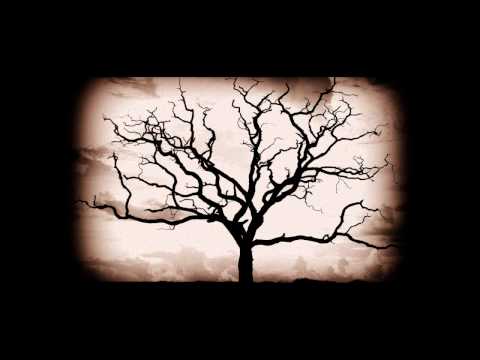 Ambient Music - Julien H Mulder - Inside the Dream World