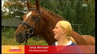 Bernsenbande im TV beim NDR- Hallo Niedersachsen (Womanlover und Tanja Bernsen)