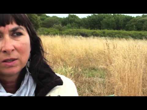 DOXA 2016 - Undersung trailer