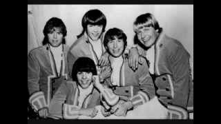 Paul Revere & The Raiders - These Are Bad Times (For Me and My Baby)