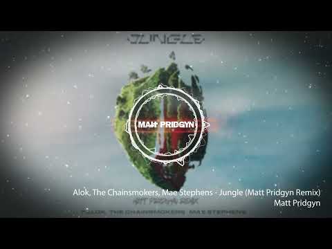 Alok, The Chainsmokers, Mae Stephens - Jungle (Matt Pridgyn Remix)
