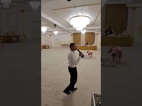 Marinel savu     Oltenasii de la Morunglav