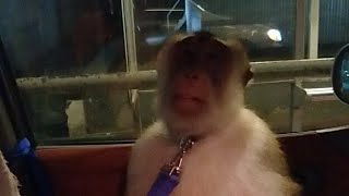 Jk Meet Fans From Usa