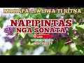 BEST ILOCANO SONGS 2024/ NAPIPINTAS NGA SONATA/ MAKA-AY-AYO TI RITNA / MSCRAFTY