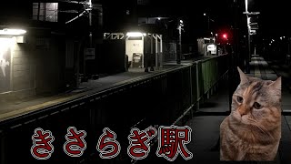 【ホラー注意】きさらぎ駅に行った猫 【猫ミーム】