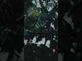Munbe Vaa Bgm HD Whatsapp Status