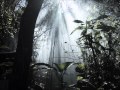 Chase Status Vs Sigma Blind Jungle Hektic Mashup