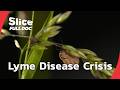 The Lyme Disease A Silent Epidemic FULL DOCUMENTARY