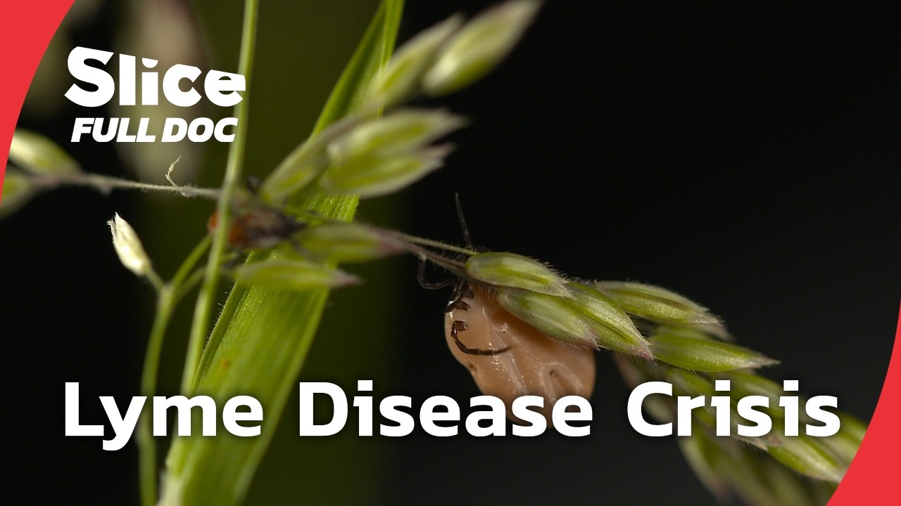 The Lyme Disease: A Silent Epidemic | FULL DOCUMENTARY