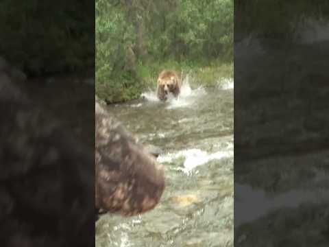 Steve Hornady shares the technology behind the ELD-X bullet (Review)