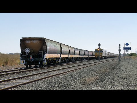 Pacific National Standard Gauge Australian Grain Trains Cross At Gheringhap Loop (8/2/2024)- PoathTV