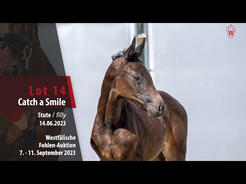 Fohlen-Auktion Lot 14 Catch a Smile Stute v. Chaccothage Blue PS -   Diarado