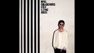Noel Gallagher Hig Flying Birds - The Right Stuff
