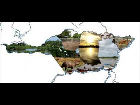 FG Cantándole a Mi Llanura - El Carrao de Palmarito