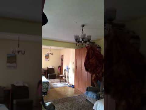 Zmurke sa strikanom 😂