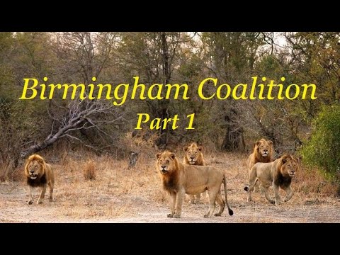 Birmingham Coalition Part 1