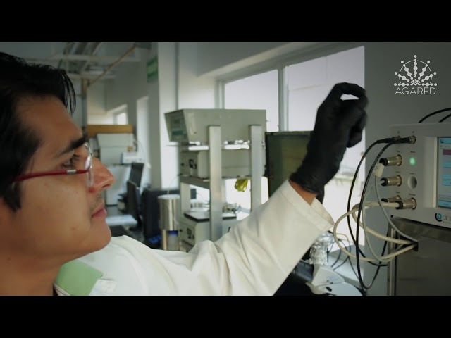 imagen-video-thefoodtech