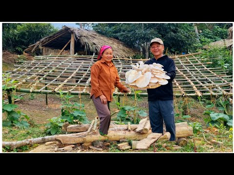 Ly Thi Lien and Uncle Vinh built a trellis for gourds and cooked a peaceful meal in the countryside.