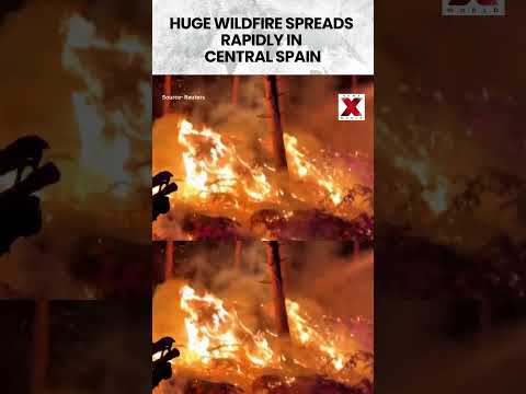 #wildfire | Spain Wildfire Escalates, Military Emergency Unit Battles Flames #spain #shorts
