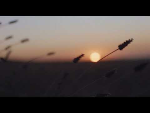 Scents of Place - Lavender Field  |  Pura