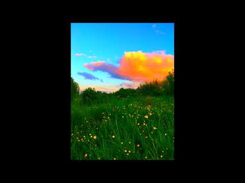 [FREE FOR PROFIT] glaive + dnb + ericdoa + hyperpop type beat "sharapova"