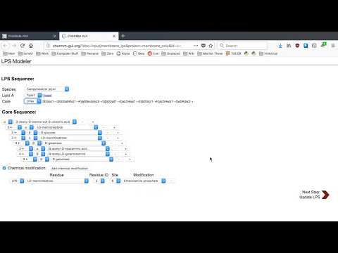 Membrane Builder Tutorial 3 - Building Outer Membrane of Gram-Negative Bacteria
