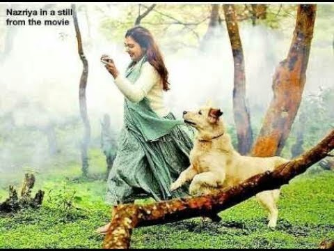 koode-Aararo song whatsapp status|New whatsapp status|Nazriya Nazim,Prithivi raj