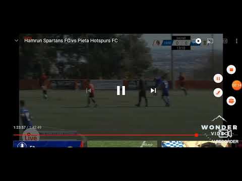 PIETA HOTSPURS #17 (2008)