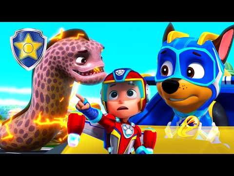 ¡Una anguila gigante ataca Bahía Aventura! Mighty Chase al rescate 🚨 | Chase Oficial | PAW Patrol