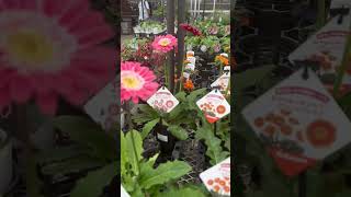 Bringing the beauty of nature to your doorstep