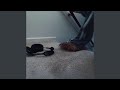 georgia peach (feat. reji)