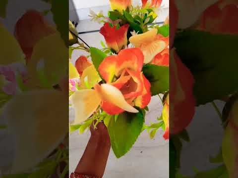 company/@mumal1667/mumal sorts/full design