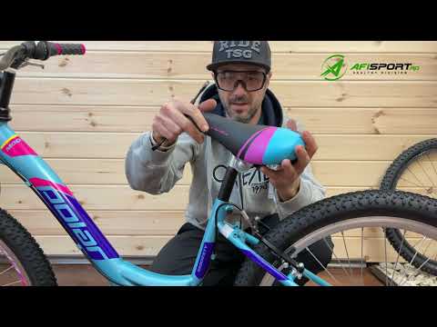 Bicicleta Copii Polar Modesty - 24 Inch, Gri