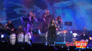 La India - Estupida / www.guialatina.it