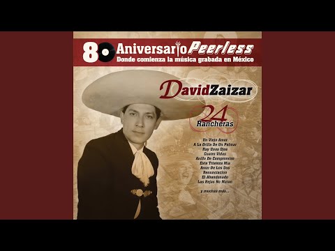 Mi destino fue quererte