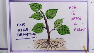 how to draw a plant easy/plant drawing easy for kids