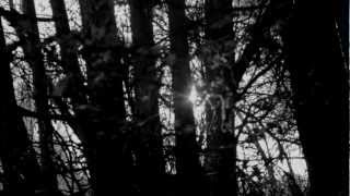 Scott Kelly "The Sun Is Dreaming in the Soul"