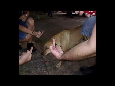 JUNG ABSO - täna olen munnis (feat. abla$ & tommi)