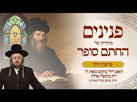 פניני החתם סופר - פרשת וילך תשפ"ו