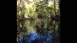 preview picture of video 'video1.mov: Ocklawaha river Gores landing to Canoe Outpost'