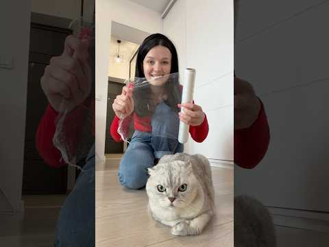 Did this lifehack actually work? My cat and I found out 😸😳 #lifehack #cat #viralhacks #funnycats