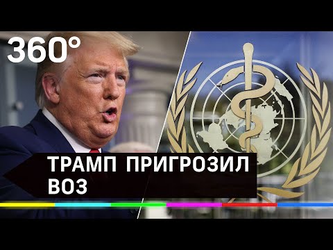 «Заморозить счета»: Трамп пригрозил ВОЗ приостановкой взносов