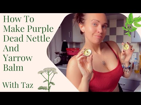 How To Make Dead Nettle And Yarrow Balm | Vlog Tutorial