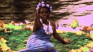 The Shamen ‎– LSI (Love Sex Intelligence) (12 Inch Mix)