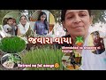 Jawara🪴 no Juice piva Mihir Bhai a Jawara Vaya | Thakor family Vlog