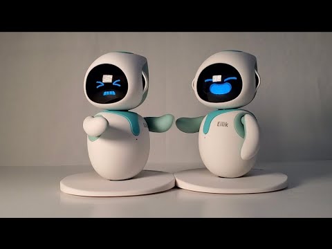 Two Eilik Robots Interact With Each Other
