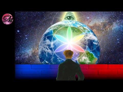 ¿Cómo nos organizamos?